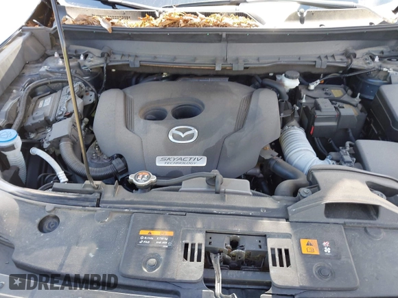2019 Mazda CX-9 Grand Touring with VIN JM3TCBDY6K0335886, listed as a IAAI auction lot 42704250 with 37,171 mi miles and . Bid and sale history available at DreamBid. Image 10.