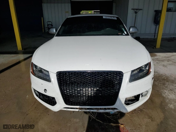 2009 Audi S5 with VIN WAURV78T19A029592, listed as a Copart auction lot 69682384 with 78,697 mi miles and Clean Title. Bid and sale history available at carsss.com. Image 5.