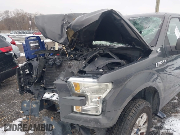 2016 Ford F-150 XL с VIN 1FTEX1C81GFB09051, выставлен на аукционе IAAI как лот 41300134 с пробегом 232 746 миль миль и . История ставок и продаж доступна на DreamBid. Изображение 6.