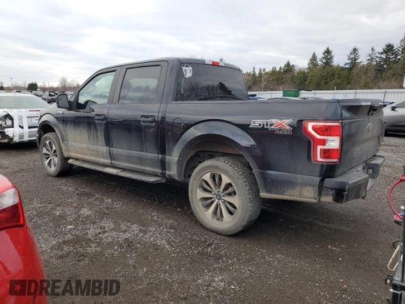 2019 Ford F-150 XL with VIN 1FTEW1EP3KFD47130, listed as a Copart auction lot 83993394 with 191,506 mi miles and Salvage Title. Bid and sale history available at carsss.com. Image 2.
