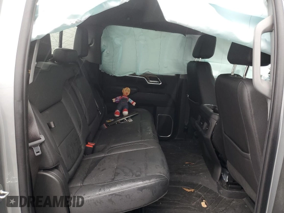 2023 Chevrolet Silverado 1500 RST with VIN 1GCUDEE8XPZ269162, listed as a Copart auction lot 50133325 with Not Provided miles and Salvage Title. Bid and sale history available at DreamBid. Image 10.