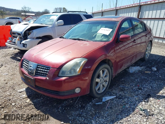 2006 Nissan Maxima 3.5 SE with VIN 1N4BA41EX6C840162, listed as a IAAI auction lot 41767023 with 172,217 mi miles. Bid and sale history available at carsss.com. Image 2.