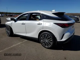 2023 Lexus RX with VIN 2T2BAMCA6PC018192, listed as a Copart auction lot 48638405 with 19,817 mi miles and Salvage Title. Bid and sale history available at carsss.com. Image 2.