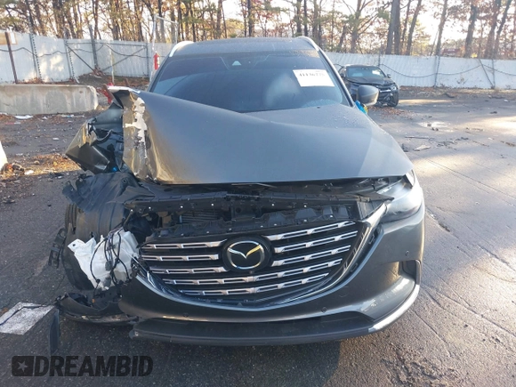 2019 Mazda CX-9 Signature with VIN JM3TCBEY2K0327069, listed as a IAAI auction lot 41136275 with 43,933 mi miles. Bid and sale history available at carsss.com. Image 12.