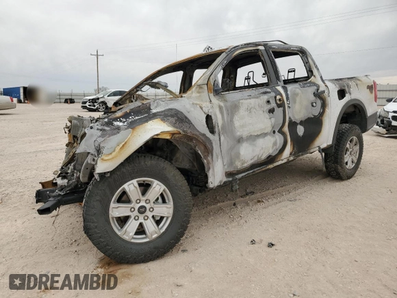 2024 Ford Ranger XL with VIN 1FTER4PH7RLE49055, listed as a Copart auction lot 53655885 with Not provided miles and Non repairable. Bid and sale history available at DreamBid. Image 1.