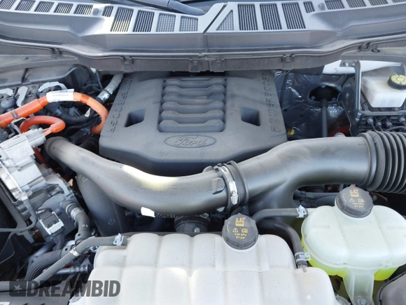 2022 Ford F-150 XL with VIN 1FTFW1ED5NFA02843, listed as a IAAI auction lot 41336268 with 35,066 mi miles. Bid and sale history available at carsss.com. Image 10.