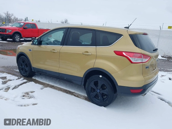 2014 Ford Escape SE with VIN 1FMCU9GX4EUE01300, listed as a IAAI auction lot 41674134 with 136,192 mi miles. Bid and sale history available at carsss.com. Image 3.