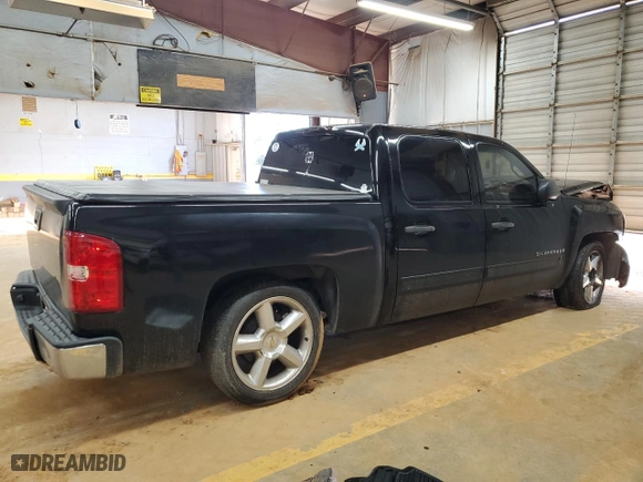 2009 Chevrolet Silverado 1500 LS with VIN 3GCEC13C09G263350, listed as a Copart auction lot 45522825 with 0 mi miles and Salvage Title. Bid and sale history available at carsss.com. Image 3.