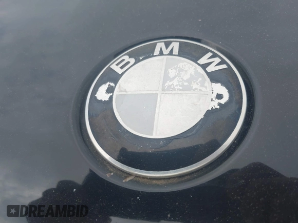 2005 BMW X3 3.0i with VIN WBXPA934X5WD08446, listed as a IAAI auction lot 42122093 with 213,265 mi miles and . Bid and sale history available at DreamBid. Image 12.