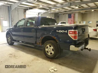 2010 Ford F-150 XL with VIN 1FTEW1E80AFA72209, listed as a Copart auction lot 59780475 with 130,618 mi miles and Clean title. Bid and sale history available at DreamBid. Image 2.