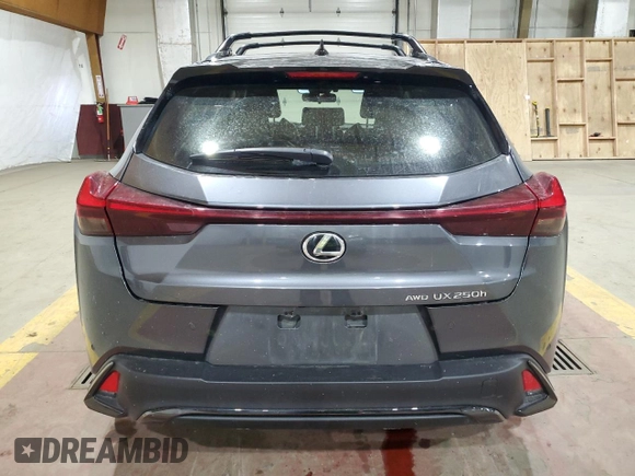 2023 Lexus UX 250h F Sport with VIN JTHB9JBH6P2066864, listed as a Copart auction lot 41746695 with Not Provided miles and Salvage Title. Bid and sale history available at DreamBid. Image 6.