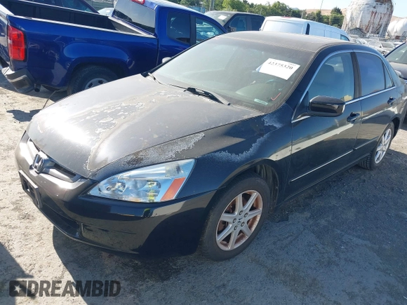 2004 Honda Accord EX с VIN 1HGCM66544A062736, выставлен на аукционе IAAI как лот 42375320 с пробегом 235 296 миль миль и . История ставок и продаж доступна на DreamBid. Изображение 2.