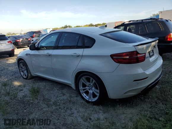 2013 BMW X6 M with VIN 5YMGZ0C55DLL29980, listed as a Copart auction lot 70687694 with 131,842 mi miles and Salvage Title. Bid and sale history available at carsss.com. Image 2.