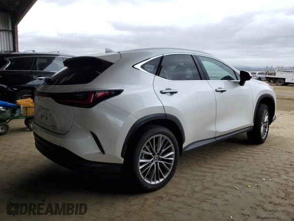 2025 Lexus NX 350 Premium with VIN JTJGGCEZ4S5010472, listed as a Copart auction lot 54560975 with 9,587 mi miles and Salvage title. Bid and sale history available at DreamBid. Image 3.