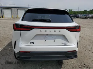 2024 Lexus NX 350 Premium with VIN 2T2GGCEZXRC052446, listed as a Copart auction lot 55400824 with 4,321 mi miles and Salvage title. Bid and sale history available at DreamBid. Image 6.