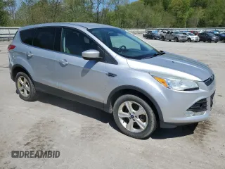 2013 Ford Escape SE with VIN 1FMCU9GX9DUC43390, listed as a Copart auction lot 53289834 with 160,961 mi miles and Non Repairable. Bid and sale history available at DreamBid. Image 4.