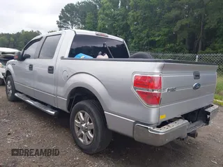 2011 Ford F-150 XL with VIN 1FTEW1CM4BFD22228, listed as a IAAI auction lot 42462810 with 123,674 mi miles and . Bid and sale history available at DreamBid. Image 3.