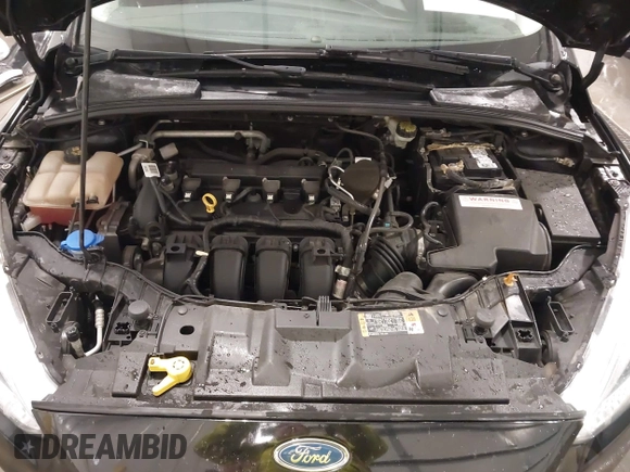 2016 Ford Focus SE with VIN 1FADP3K26GL310195, listed as a IAAI auction lot 41911782 with 126,808 mi miles and . Bid and sale history available at carsss.com. Image 10.