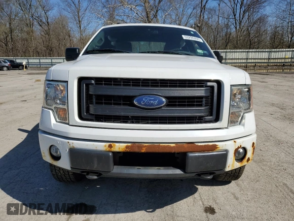 2013 Ford F-150 XL with VIN 1FTFX1EF6DFA23830, listed as a Copart auction lot 53295205 with 139,315 mi miles and Salvage Title. Bid and sale history available at carsss.com. Image 5.