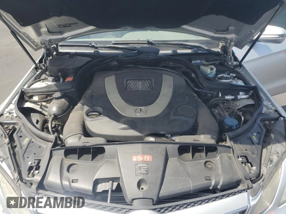 2010 Mercedes-Benz E 550 with VIN WDDKJ7CB5AF014783, listed as a Copart auction lot 54239565 with 157,025 mi miles and Salvage title. Bid and sale history available at DreamBid. Image 11.