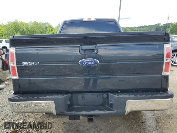 2010 Ford F-150 XL with VIN 1FTEX1C80AFA25472, listed as a Copart auction lot 57462045 with 130,692 mi miles and Salvage title. Bid and sale history available at DreamBid. Image 6.