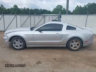 2014 Ford Mustang V6 с VIN 1ZVBP8AMXE5297192, выставлен на аукционе IAAI как лот 42231701 с пробегом Не указан миль и . История ставок и продаж доступна на DreamBid. Изображение 14.