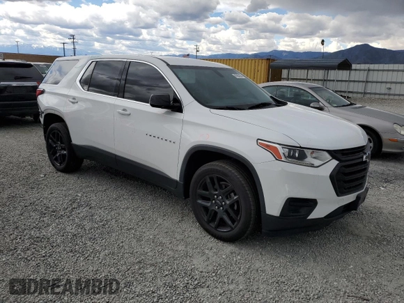 2020 Chevrolet Traverse LS with VIN 1GNERFKW1LJ229602, listed as a Copart auction lot 47083294 with 80,165 mi miles. Bid and sale history available at carsss.com. Image 4.