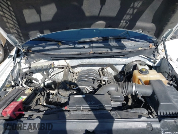 2012 Ford F-150 XL with VIN 1FTPF1CF7CKE24237, listed as a IAAI auction lot 40561779 with 185,152 mi miles and . Bid and sale history available at DreamBid. Image 10.