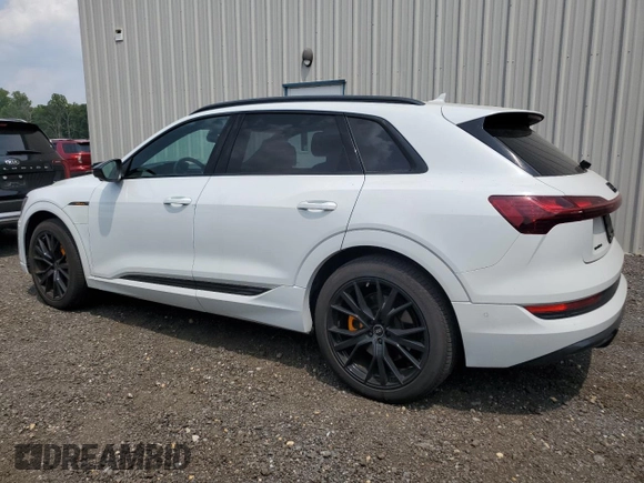 2022 Audi e-tron Chronos with VIN WA1VABGE2NB024953, listed as a Copart auction lot 60561975 with 30,503 mi miles and Salvage title. Bid and sale history available at DreamBid. Image 2.