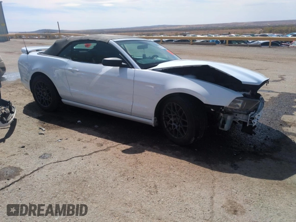 2014 Ford Mustang V6 with VIN 1ZVBP8EM7E5299993, listed as a Copart auction lot 50263105 with 127,889 mi miles and Salvage title. Bid and sale history available at DreamBid. Image 4.