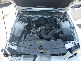 2006 Ford Mustang Standard with VIN 1ZVFT84N465107373, listed as a IAAI auction lot 42205471 with 60,598 mi miles and . Bid and sale history available at DreamBid. Image 10.