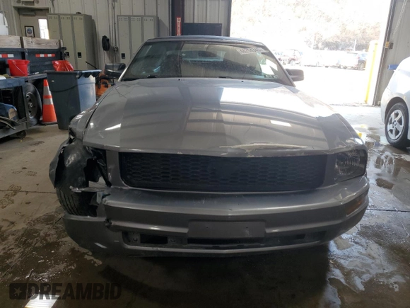 2006 Ford Mustang Standard with VIN 1ZVFT84N565111058, listed as a Copart auction lot 48254345 with Not Provided miles and Salvage Title. Bid and sale history available at carsss.com. Image 5.