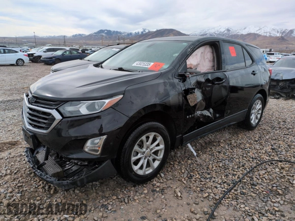 2019 Chevrolet Equinox LS with VIN 2GNAXSEV7K6268688, listed as a Copart auction lot 43025335 with 132,237 mi miles and Salvage Title. Bid and sale history available at DreamBid. Image 1.