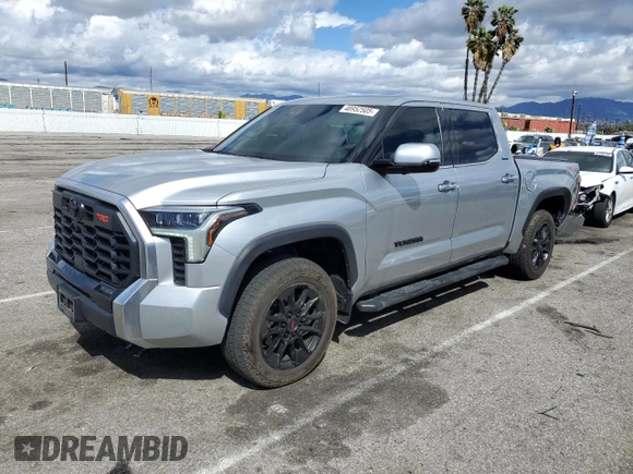 2023 Toyota Tundra Limited with VIN 5TFJA5DB4PX120864, listed as a Copart auction lot 48952505 with 19,169 mi miles and Salvage title. Bid and sale history available at DreamBid. Image 1.