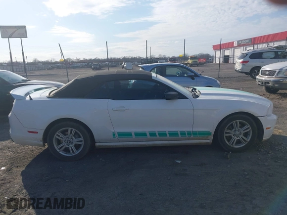 2013 Ford Mustang V6 with VIN 1ZVBP8EM7D5234320, listed as a IAAI auction lot 41512045 with 113,916 mi miles and . Bid and sale history available at DreamBid. Image 13.