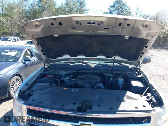 2010 Chevrolet Silverado 1500 LT with VIN 1GCSKSE39AZ179024, listed as a IAAI auction lot 41735447 with 307,082 mi miles. Bid and sale history available at carsss.com. Image 10.