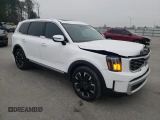 2024 Kia Telluride SX X-Pro with VIN 5XYP5DGC4RG544175, listed as a Copart auction lot 48980245 with 14,624 mi miles and Salvage title. Bid and sale history available at DreamBid. Image 4.