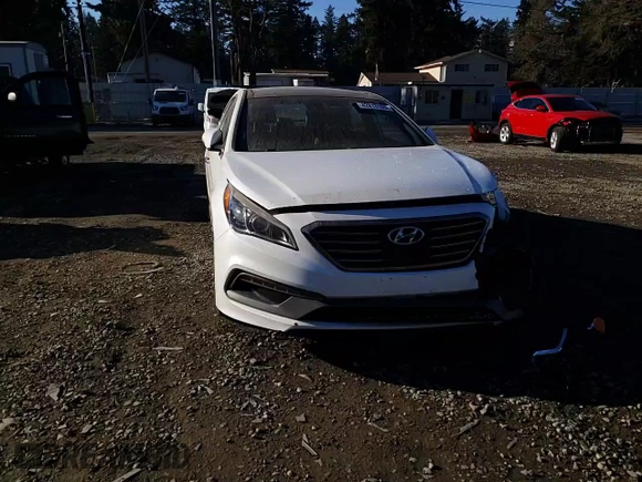 2015 Hyundai Sonata Sport with VIN 5NPE34AB5FH043748, listed as a Copart auction lot 42813165 with 91,769 mi miles and Salvage Title. Bid and sale history available at carsss.com. Image 11.