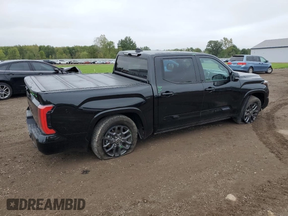 2022 Toyota Tundra Platinum with VIN 5TFNA5DB9NX028910, listed as a Copart auction lot 73638914 with 25,404 mi miles and Salvage title. Bid and sale history available at DreamBid. Image 3.
