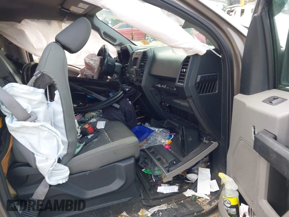 2019 Ford F-150 XL with VIN 1FTEW1CB9KFD18349, listed as a IAAI auction lot 41261246 with Not Provided miles and . Bid and sale history available at DreamBid. Image 5.
