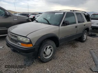 1999 Chevrolet Blazer Trailblazer z VIN 1GNDT13W9X2238417, wystawiony jako Copart lot #80087223 z przebiegiem Nie podano mil oraz Szkoda całkowita • Salvage title. Historia ofert i sprzedaży dostępna na DreamBid. Obrazek 1.