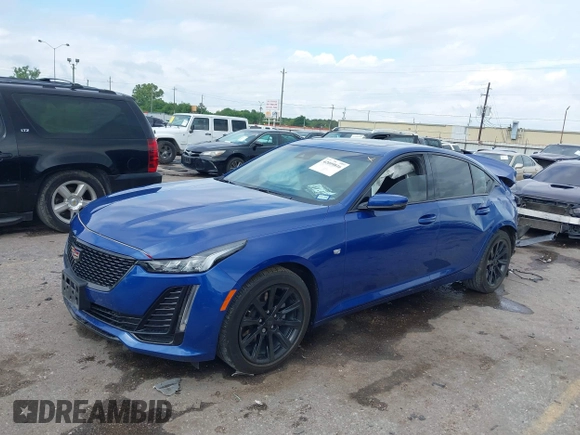2023 Cadillac CT5 Luxury with VIN 1G6DW5RK2P0113186, listed as a IAAI auction lot 42099816 with 37,530 mi miles and . Bid and sale history available at DreamBid. Image 2.