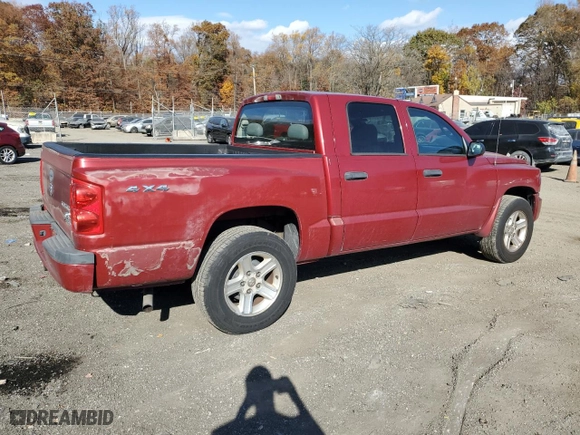 2010 Dodge Dakota Bighorn/Lonestar with VIN 1D7CW3GK1AS234924, listed as a Copart auction lot 79342704 with 98,057 mi miles and Clean Title. Bid and sale history available at carsss.com. Image 3.