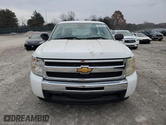2010 Chevrolet Silverado 1500 Work Truck with VIN 1GCPCPEXXAZ171727, listed as a Copart auction lot 83030884 with 179,186 mi miles and Clean Title. Bid and sale history available at DreamBid. Image 5.
