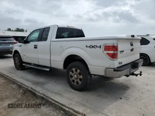 2013 Ford F-150 XL with VIN 1FTFX1ET9DKG06437, listed as a Copart auction lot 54309865 with 127,031 mi miles and Clean Title. Bid and sale history available at carsss.com. Image 2.