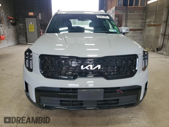 2024 Kia Telluride EX X-Line z VIN 5XYP3DGC3RG427452, wystawiony jako Copart lot #55381405 z przebiegiem 21 614 mil mil oraz Szkody całkowita. Historia ofert i sprzedaży dostępna na DreamBid. Obrazek 5.