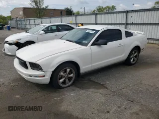 2006 Ford Mustang Standard with VIN 1ZVHT80N965264587, listed as a Copart auction lot 55333555 with 240,343 mi miles and Clean Title. Bid and sale history available at carsss.com. Image 1.