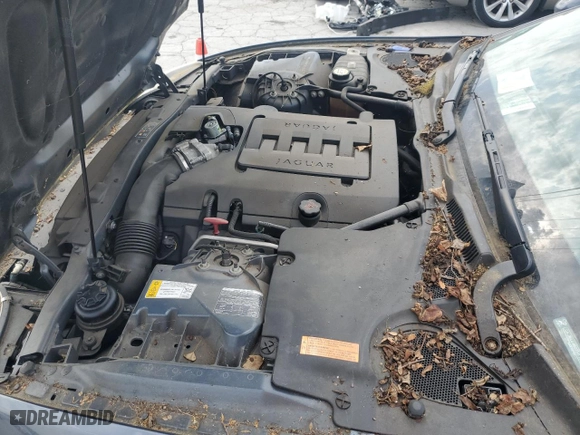 2007 Jaguar XK with VIN SAJWA44B875B18955, listed as a Copart auction lot 53782525 with 0 mi miles and Salvage Title. Bid and sale history available at carsss.com. Image 11.