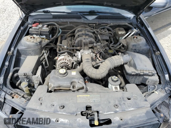 2006 Ford Mustang Standard with VIN 1ZVFT80N465149421, listed as a Copart auction lot 53403905 with 142,222 mi miles and Salvage Title. Bid and sale history available at carsss.com. Image 11.