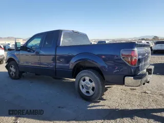 2009 Ford F-150 XLT with VIN 1FTRX12V19FA99116, listed as a Copart auction lot 84876434 with 169,975 mi miles and Salvage title. Bid and sale history available at DreamBid. Image 2.